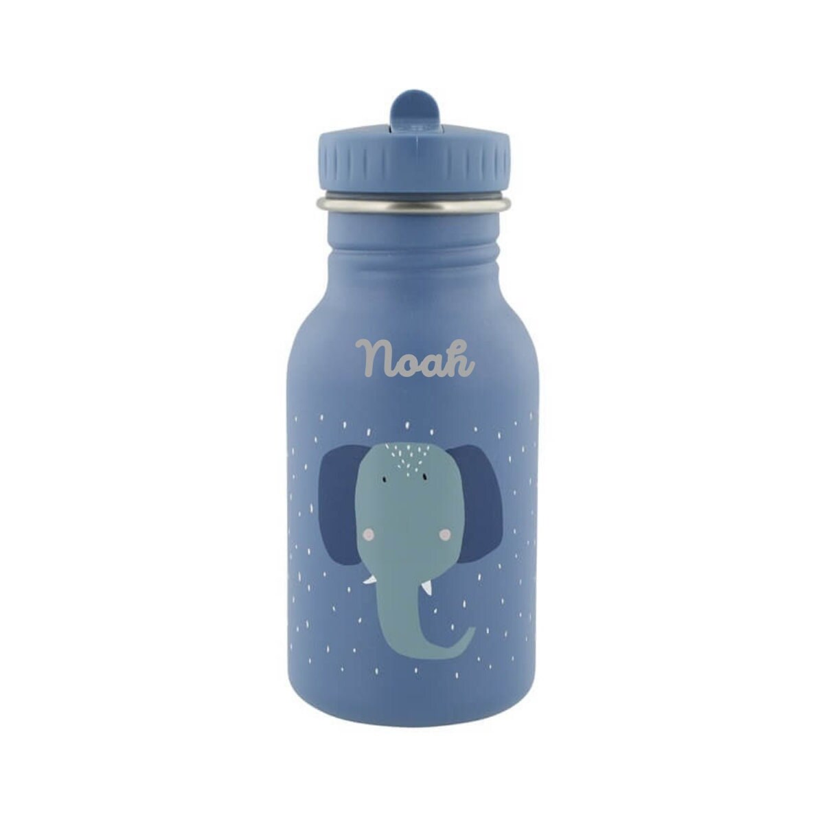 Trinkflasche Kinder, Trinkflasche personalisiert Kinder, Trixie, Kindergarten Flasche, Trinkflasche mit Namen